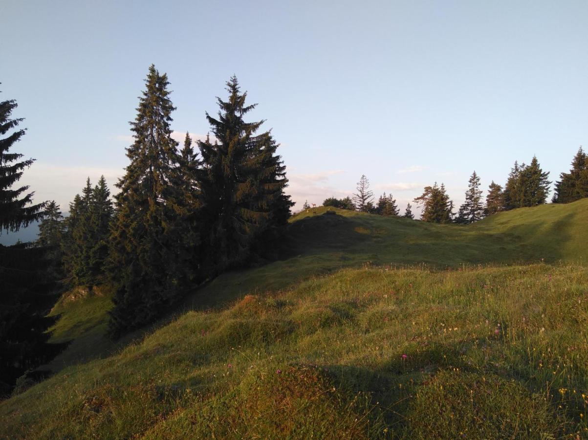 Leitnerhof Villa Niederau Exteriör bild